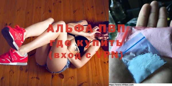 мяу мяу кристалл Корсаков