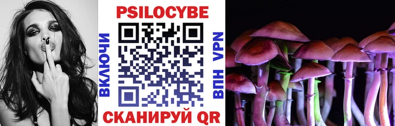 Купить  Курлово  Галлюциногенные грибы Magic Shrooms 
